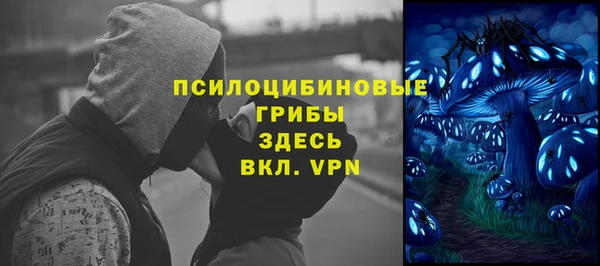 ALPHA PVP Верея