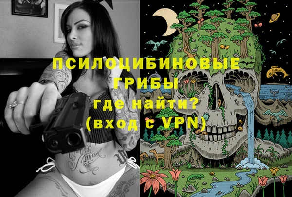 ALPHA PVP Верея
