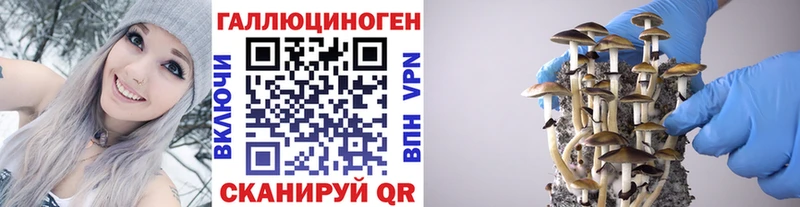 гидра вход  Тамбов  Галлюциногенные грибы прущие грибы  где купить  
