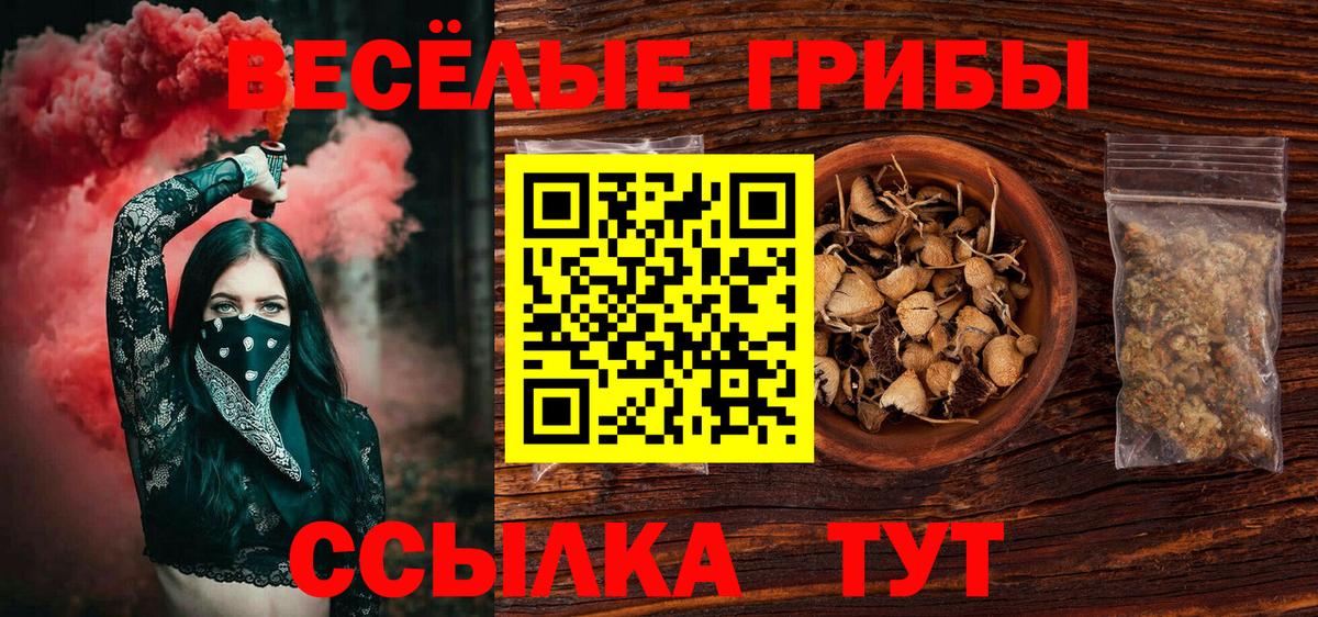Тамбов  Галлюциногенные грибы мицелий  Вход с VPN 